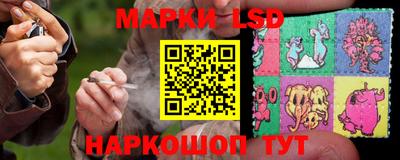 стаф Кунгур