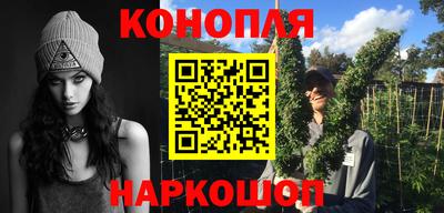 стаф Кунгур