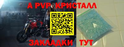 стаф Кунгур