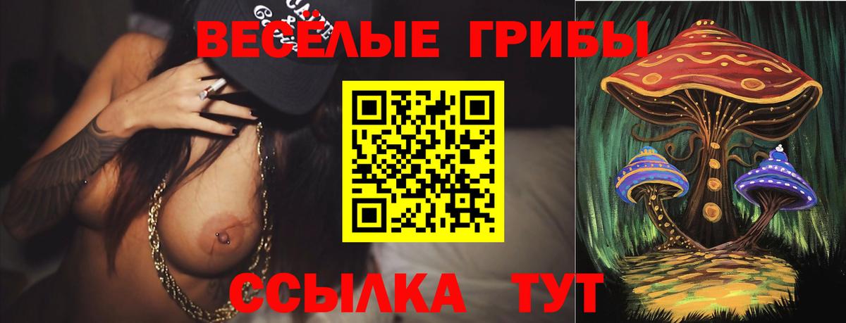 Таганрог  Галлюциногенные грибы Cubensis  Галлюциногенные грибы Cubensis  Вход с VPN 